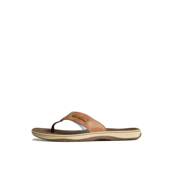 Sperry Baitfish Flip Flops LightBrown Shop