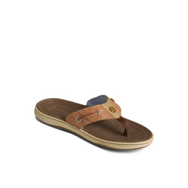 Sperry Baitfish Flip Flops LightBrown Shop