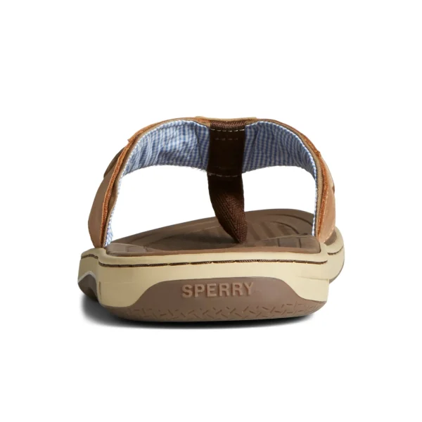 Sperry Baitfish Flip Flops LightBrown Shop