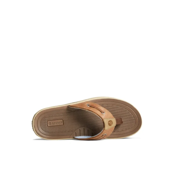 Sperry Baitfish Flip Flops LightBrown Shop