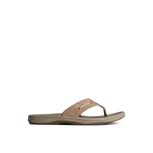 Sperry Baitfish Leather Flip Flop MediumBeige Online