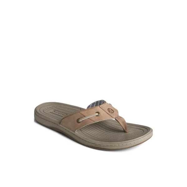 Sperry Baitfish Leather Flip Flop MediumBeige Online