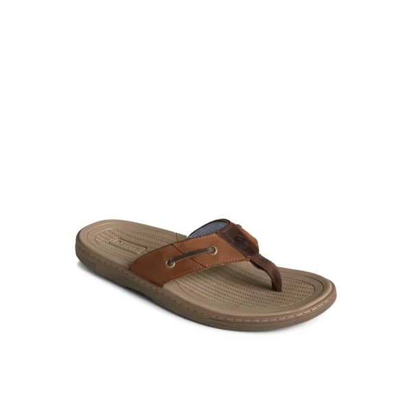 Sperry Baitfish Leather Flip Flop BrownLeatherMixedMaterial Cheap