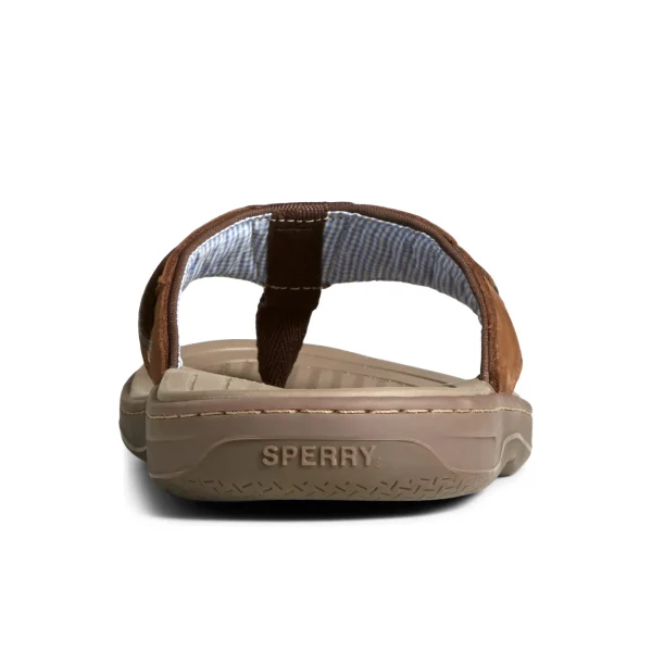 Sperry Baitfish Leather Flip Flop BrownLeatherMixedMaterial Cheap