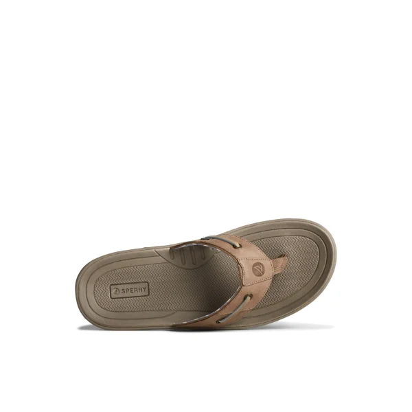 Sperry Baitfish Leather Flip Flop MediumBeige Online