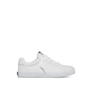 Sperry Bermuda Sneaker White Shop