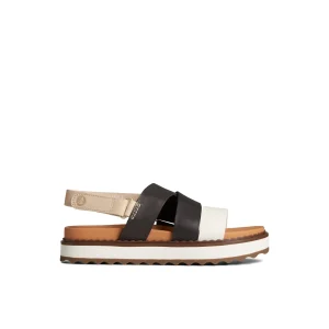 Sperry Cami Flatform Sandal BrownPrimary-Multi Best Sale