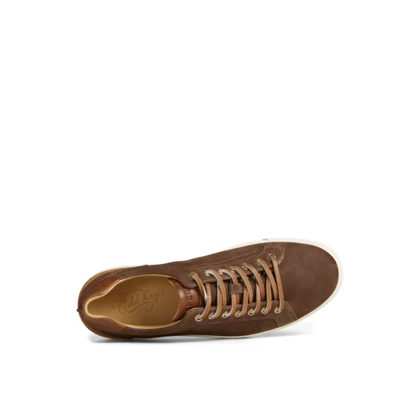 Sperry Gold Cup™ Striper LTT Sneaker Brown New