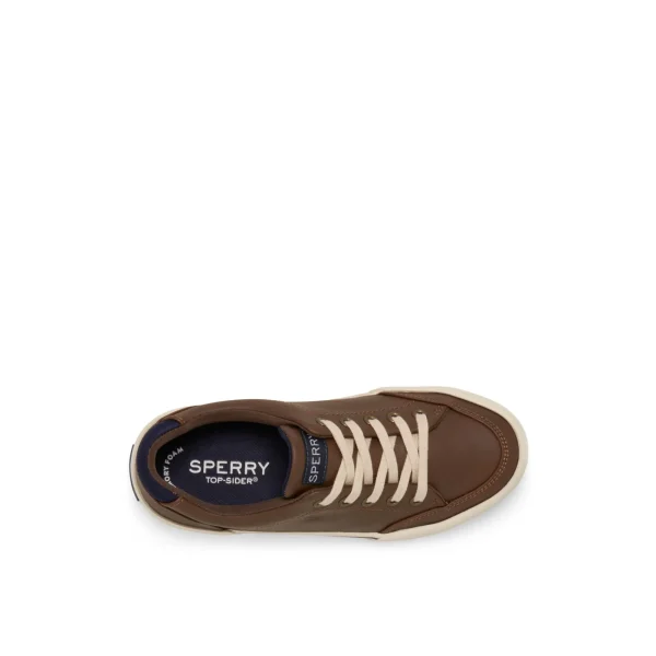 Sperry Harbor Tide Sneaker Brown Hot