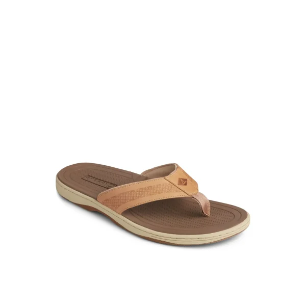 Sperry Havasu Perf Flip Flop BrownLeatherMixedMaterial Cheap