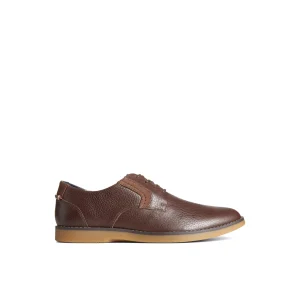 Sperry Newman Oxford Dress Shoe BrownLeatherSmooth Shop