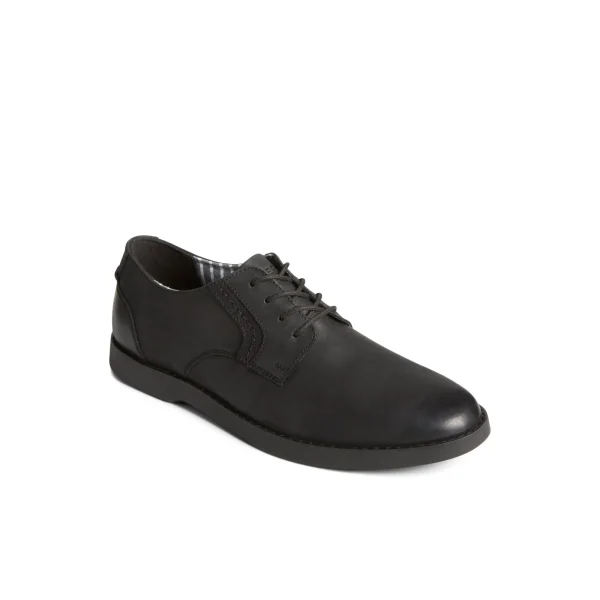 Sperry Newman Oxford Dress Shoe Black Online