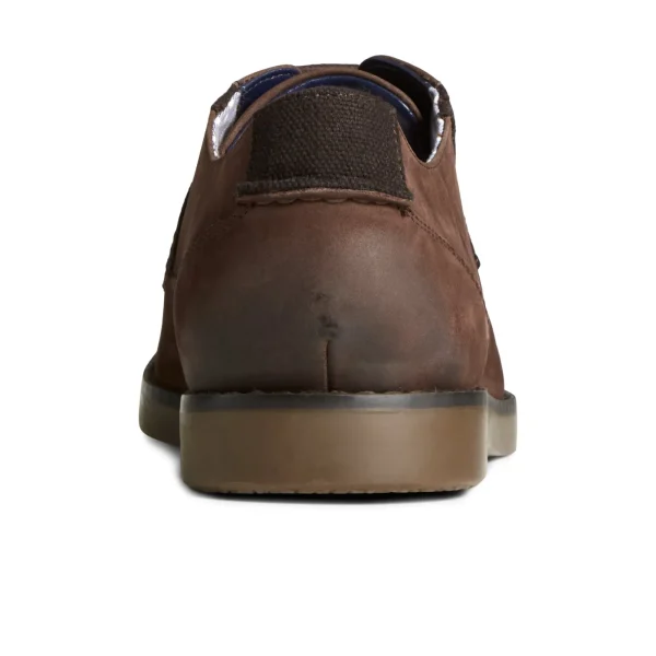 Sperry Newman Oxford Dress Shoe BrownLeatherNubuck Hot