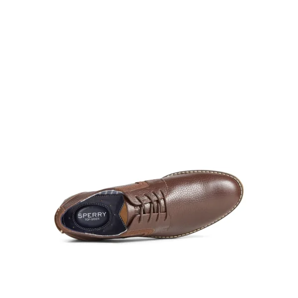 Sperry Newman Oxford Dress Shoe BrownLeatherSmooth Shop