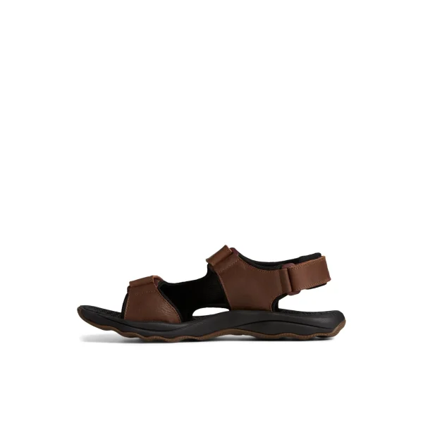 Sperry Rivington Sandal Brown Flash Sale