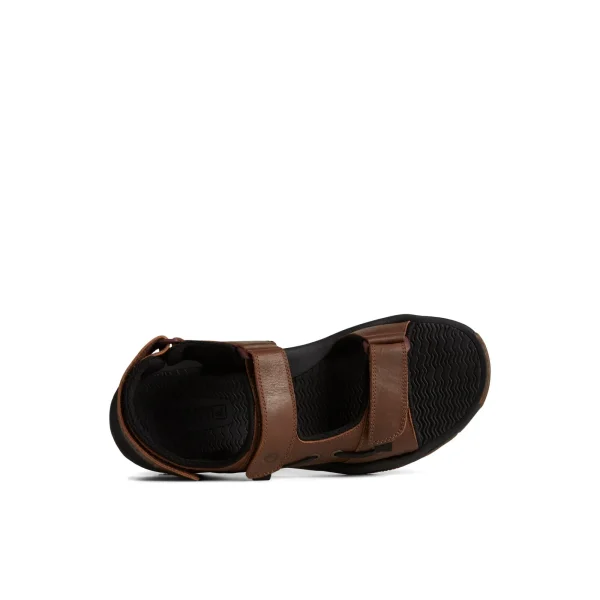 Sperry Rivington Sandal Brown Flash Sale