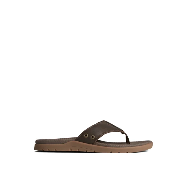 Sperry Santa Cruz II Thong Sandal Brown Store