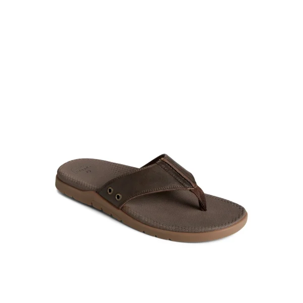 Sperry Santa Cruz II Thong Sandal Brown Store