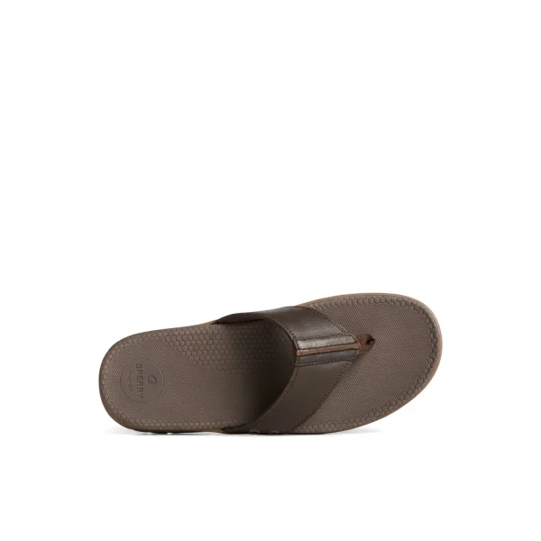 Sperry Santa Cruz II Thong Sandal Brown Store