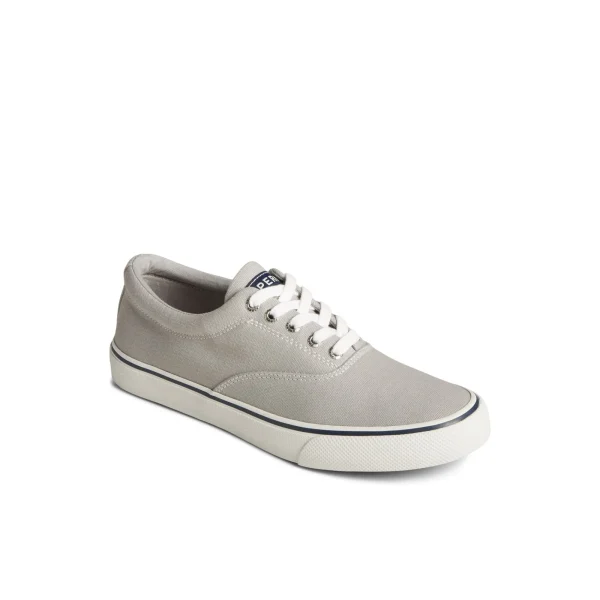 Sperry Striper II Canvas CVO Sneaker Grey Best Sale