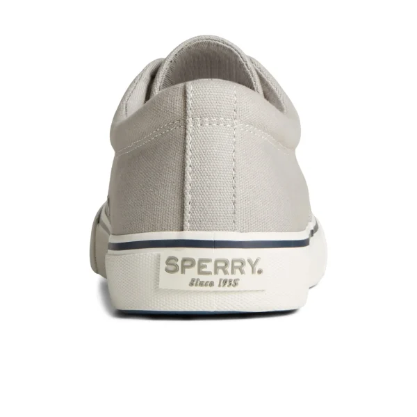 Sperry Striper II Canvas CVO Sneaker Grey Best Sale