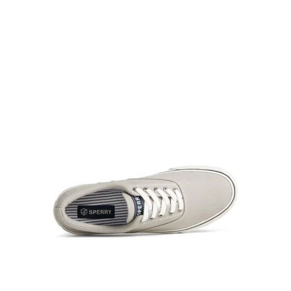 Sperry Striper II Canvas CVO Sneaker Grey Best Sale