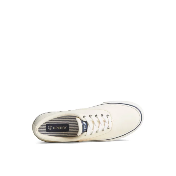 Sperry Striper II Canvas CVO Sneaker White Hot