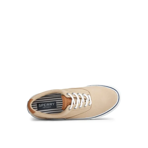 Sperry Striper II CVO Sneaker MediumBeige Fashion