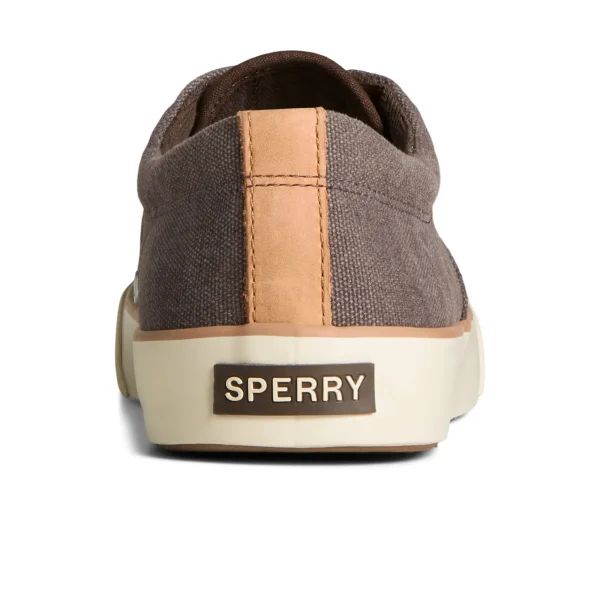 Sperry Striper II Washed Canvas CVO Sneaker Brown New