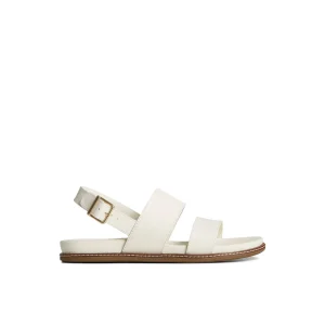 Sperry Waveside PLUSHWAVE™ Backstrap Sandal Bone Clearance